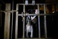 Bild inifrån Arlagården på Öland.