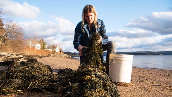 Folkuniversitetet lanserar unik utbilding inom blåa näringar.