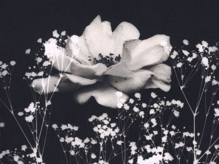 Sista veckan i augusti visas utställningen ”Flowers” – ung japansk fotografi i stora format – på Fotoskolan STHLM. Det är ett samarbete mellan Tokyo Polytechnic University och Fotoskolan STHLM.