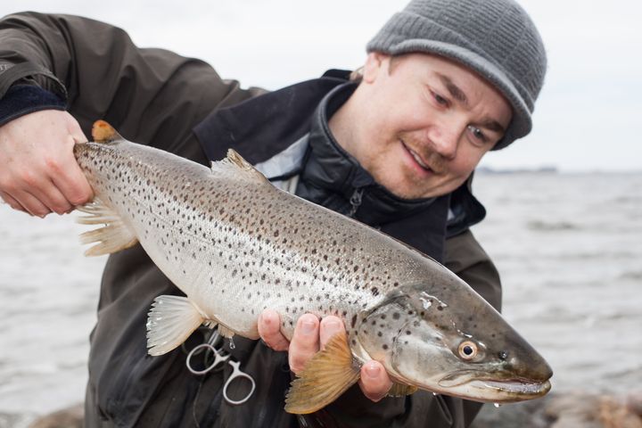 Tommy Egra på Fishbuddy är en aktiv havsöringsfiskare. Nu har den populära fiskeappen tagit fram ett nytt verktyg som visar var det är lättast att fånga dem tidigt på säsongen.