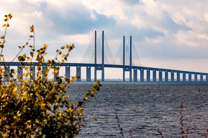 Bild på Øresundsbron som sträcker sig över havet, med några buskar i förgrunden.