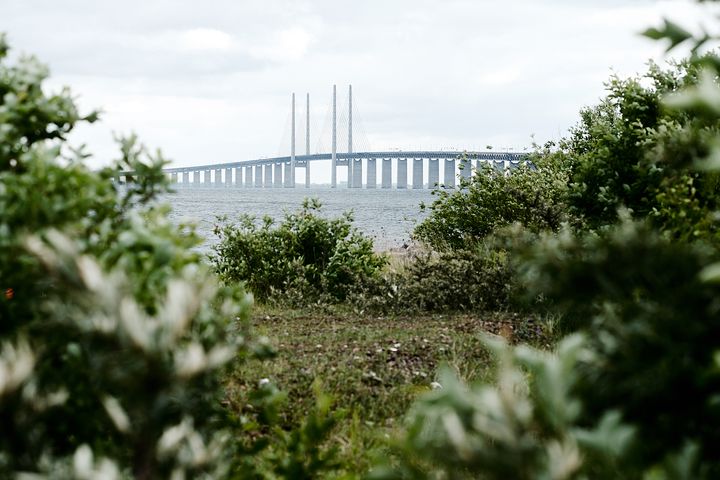 Bild av en bro över vatten med grönska i förgrunden.