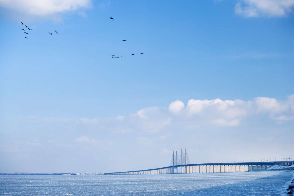 Bild av Øresundsbron över vattnet, med blå himmel och fåglar i flykt.