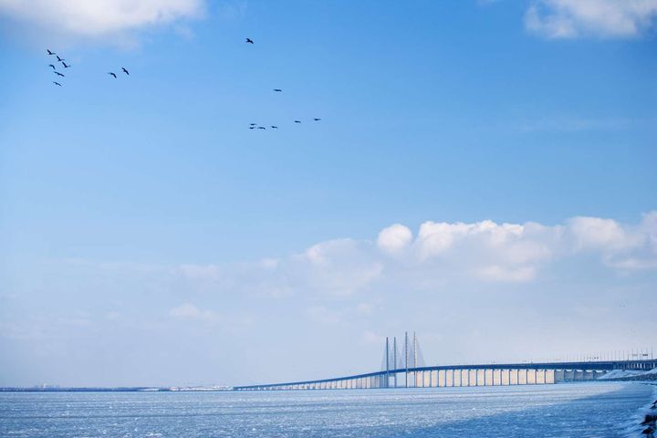 Bild av Øresundsbron över vattnet, med blå himmel och fåglar i flykt.