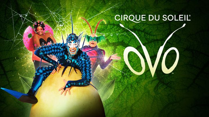 I maj kommer Cirque du Soleil till Scandinavium i Göteborg med föreställningen OVO.