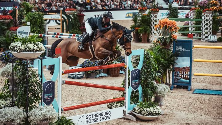 Nu släpps programmet för Gothenburg Horse Show 2022! Foto: Johan Lilja
