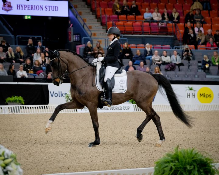 Vendela Rubin med Diploid