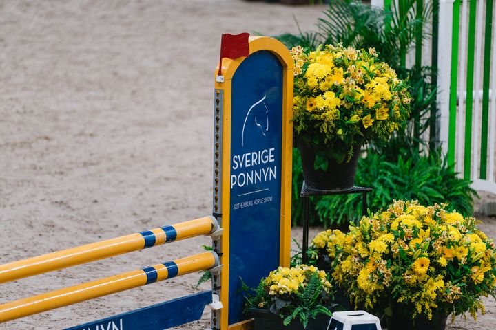 Guldfynd blir ny presentatör av Sverigeponnyn. Foto: Johan Lilja