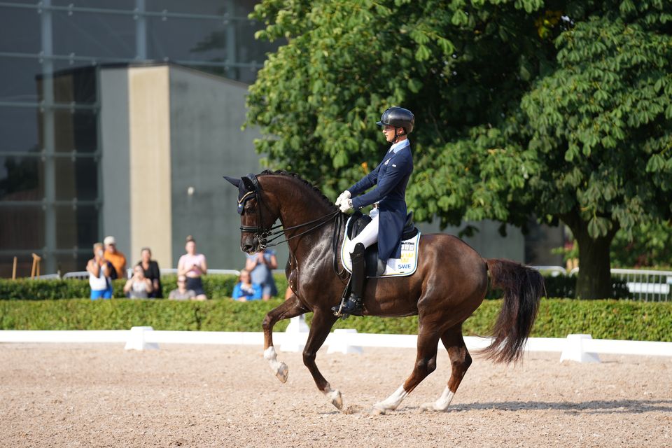 Karl Hedin makes his World Cup debut at the Gothenburg Horse Show 2024 – where he takes on the European Championship silver medalist