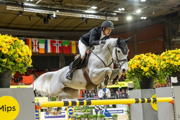 Henrik von Eckermann & Calizi 2024