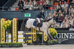 Lisa Arnsvik Shanbo Harvest Dun