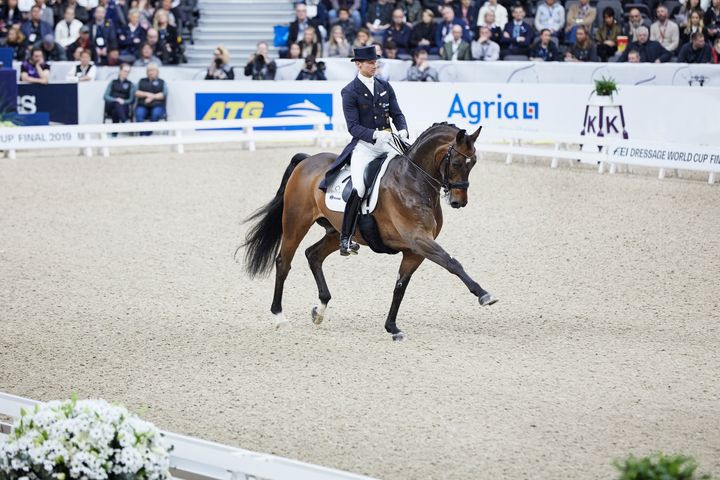 En ryttare i tävlingskläder rider en brun häst på en inomhusarena inför en publik.