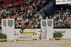 Lillybelle Enestubbe Växjöortens Fältrittklubb