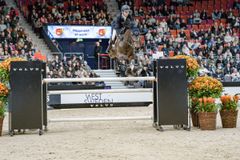 Adam Carey och Quebello startar i kvällens Gothenburg Trophy presented by Volvo