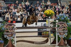 Lars Bak Andersen - Leviathan