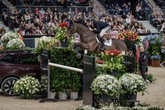 Adam Carey - Quebello D