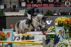 Thomas Ryan - Million's Grey