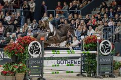 Johan-Sebastian Gulliksen