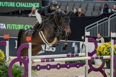 Thess Ganz Andersson