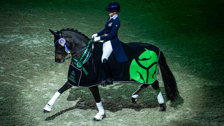 En ryttare iklädd blå kavaj rider på en elegant häst täckt med ett svart och grönt täcke, under en tävling i en inomhusarena.