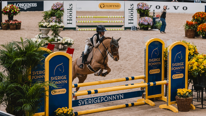 En ryttare hoppar över ett hinder med sin ponny under Gothenburg Horse Show.