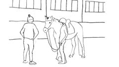 Illustration som visar ridlärare och ridelev i miljö.Delaktighet är viktigt både för hästens välfärd och för ungas motivation att fortsätta inom idrotten.