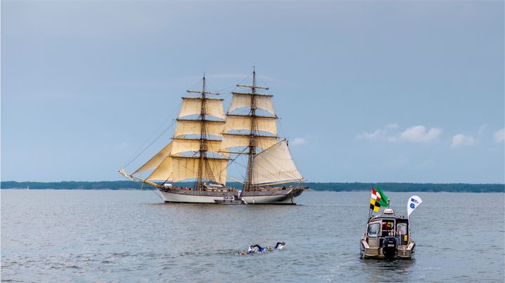Bilden visar deltagare som simmar i ett öppet vatten