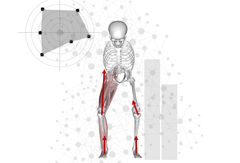 Illustration från Jonas Enqvists avhandling "Biomechanics of lower limb loading during high-force and sports related movements"