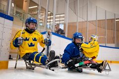 Prova på parahockey-aktivitet för personer i olika åldrar för att främja fysisk aktivitet och hälsa.