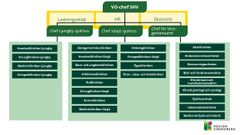 Bild som visar förslag på organisation och ledning för sjukhusvården i Region Kronoberg.