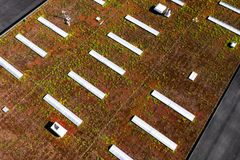 Gröna sedumtak med växtlighet och vit beläggning på Växjö stadsbussdepå.