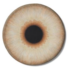 Ulla Wiggen, "Iris III"