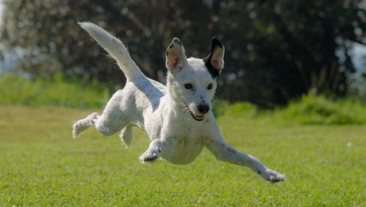 UR har fått en ny mediebyrå.