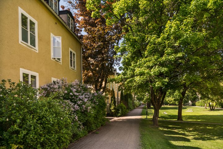 Gamla Studentstaden är ett av våra charmigaste och mest populära områden. Husen är byggda i början av 1950-talet.