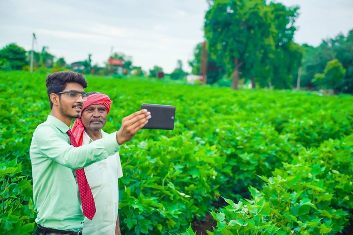 två män kollar på mobil vid ett grönt fält