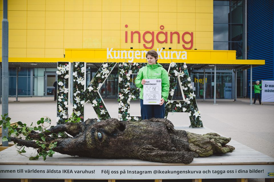 Greenpeace responds to IKEA: 'Just because something is legal doesn't mean it's sustainable'