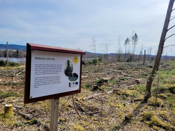 Med 27 procent av rösterna är det här kalhygget i Sunne kommun officiellt utsett till Sveriges fulaste. Marken ägs av kommunen, som bestämde sig för att avverka skogen i närheten av hembygdsgården - trots den tidigare uppmaningen till förbipasserande att "stanna upp och utforska miljön".