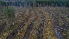 SCA-avverkning oktober 2025