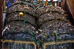 Bottentrålning utanför Nya Zeeland