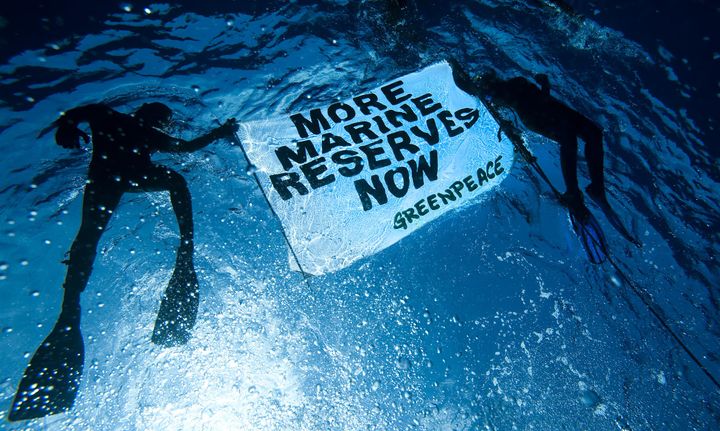 Två dykare håller en skylt under vattnet som säger "More Marine Reserves Now" och "Greenpeace".