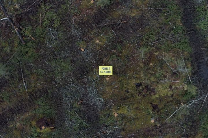En skylt med texten "Forest SCAndal" på marken i en kalavverkad skog.