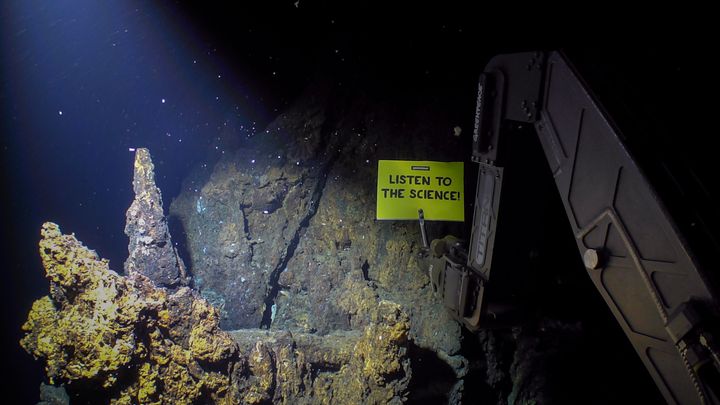 © Greenpeace