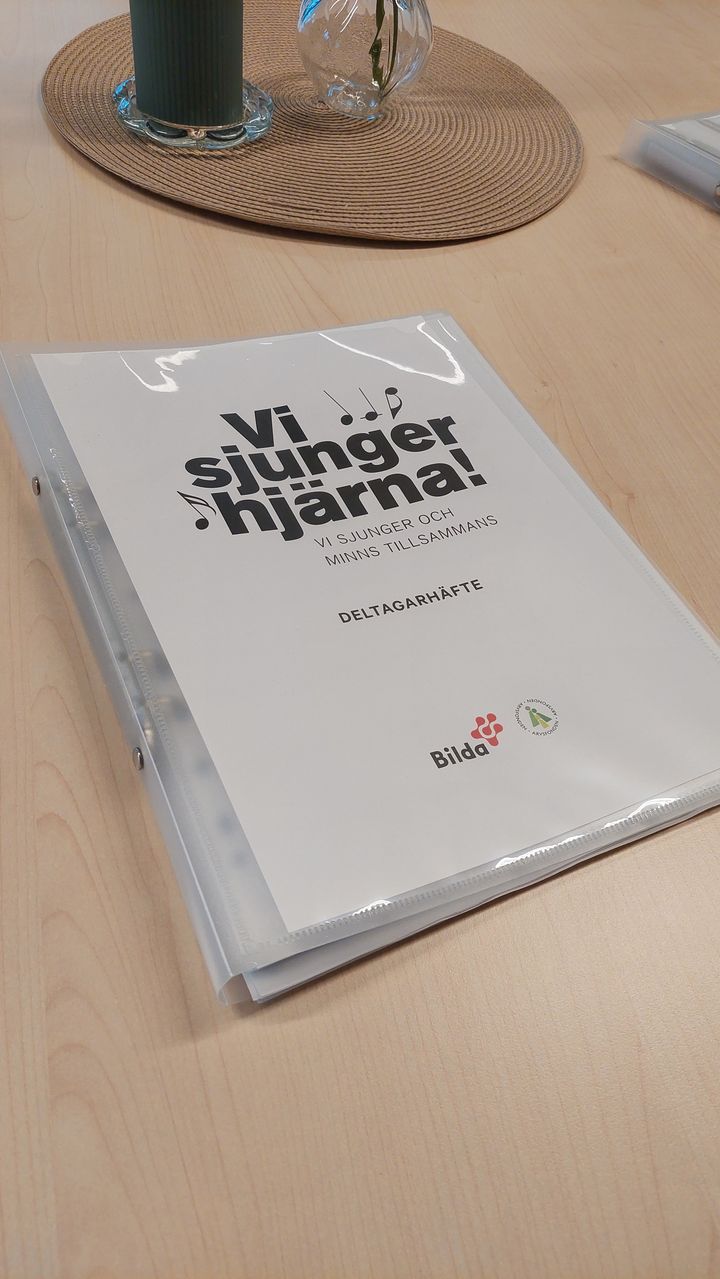 Vi sjunger hjärna sånghäfte.