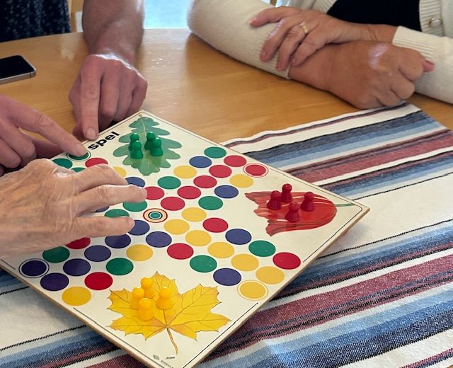 personer som spelar fiaspel