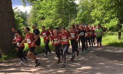 Blodomloppets löparslinga.