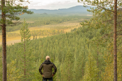 Norra Skog ser de föreslagna förändringarna som en viktig grund för att balansera skogsbrukets ekonomiska, miljömässiga och sociala mål.