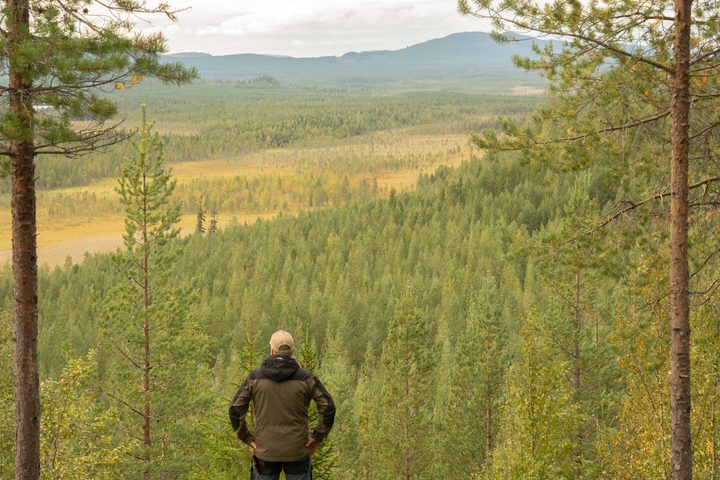 Det är en tankevurpa av miljömålsberedningens sekretariat att föreslå incitament för skogsägare att bedriva ett passivt skogsbruk.