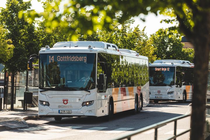 Två bussar intill en grönskande hållplats.