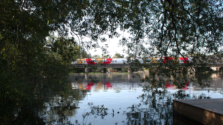 Östgötapendeln på en bro över Stångån. I förgrunden är det löv som hänger ner.