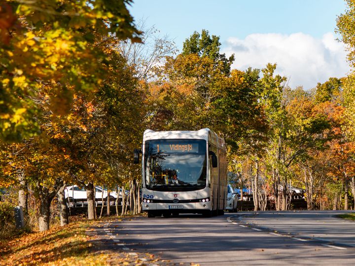 En buss på en väg, med gulnande löv i bakgrunden.